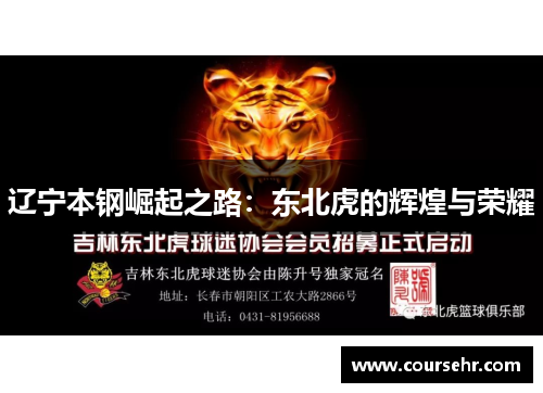 辽宁本钢崛起之路:东北虎的辉煌与荣耀 辽宁本钢崛起之路:东北虎的辉煌与荣耀